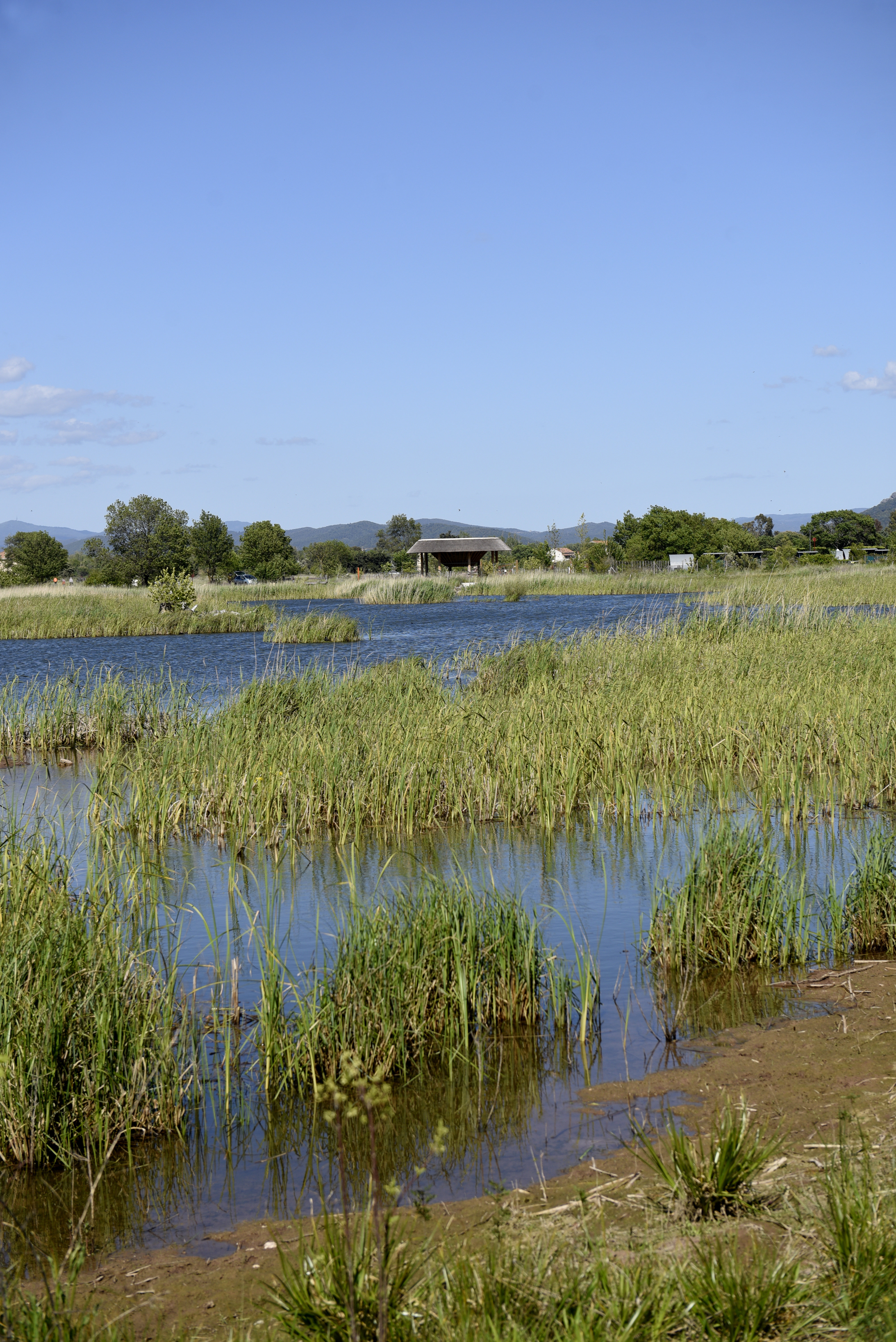 ENS Plan de La Garde (26).JPG (17.71 MB)