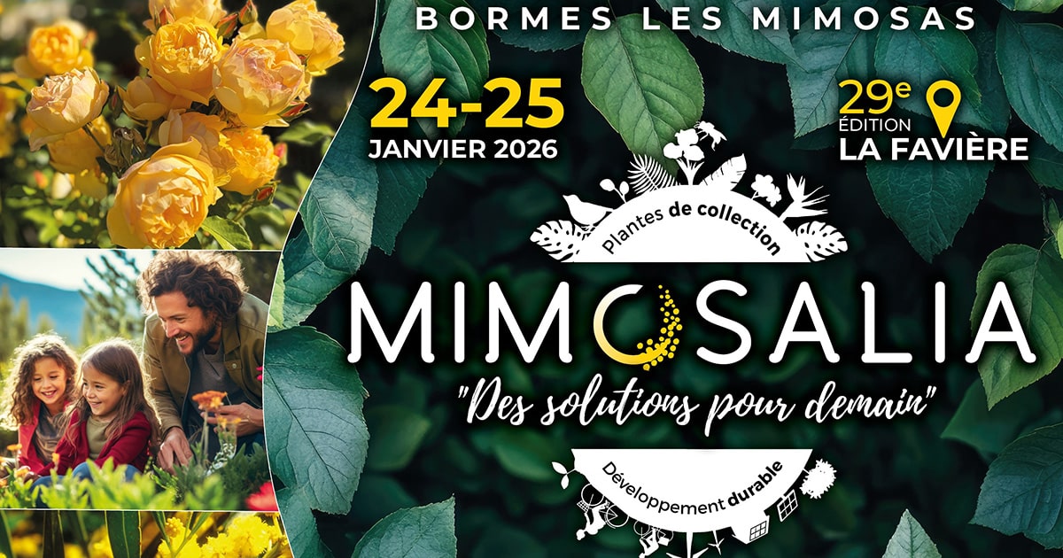 Mimosalia-2026-1-copie.jpg (216 KB)