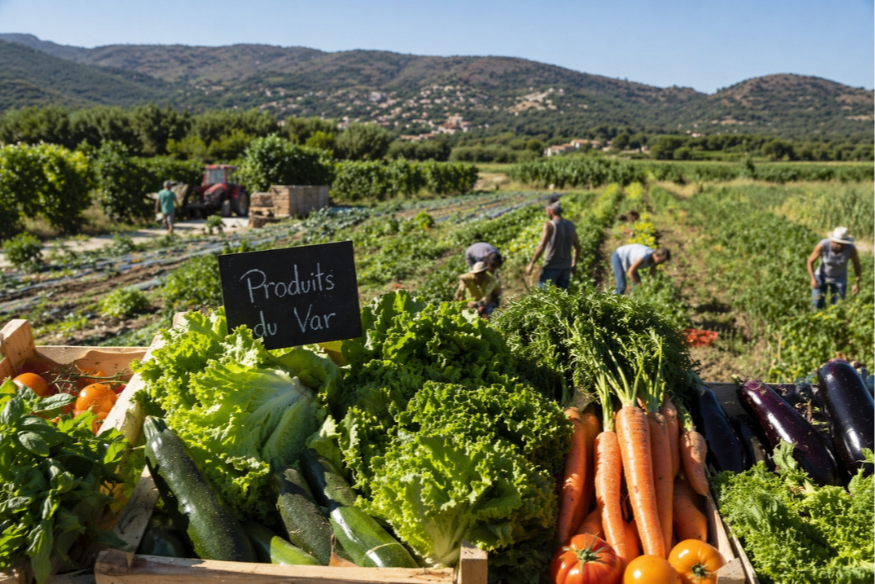 Souveraineté alimentaire : le défi varois