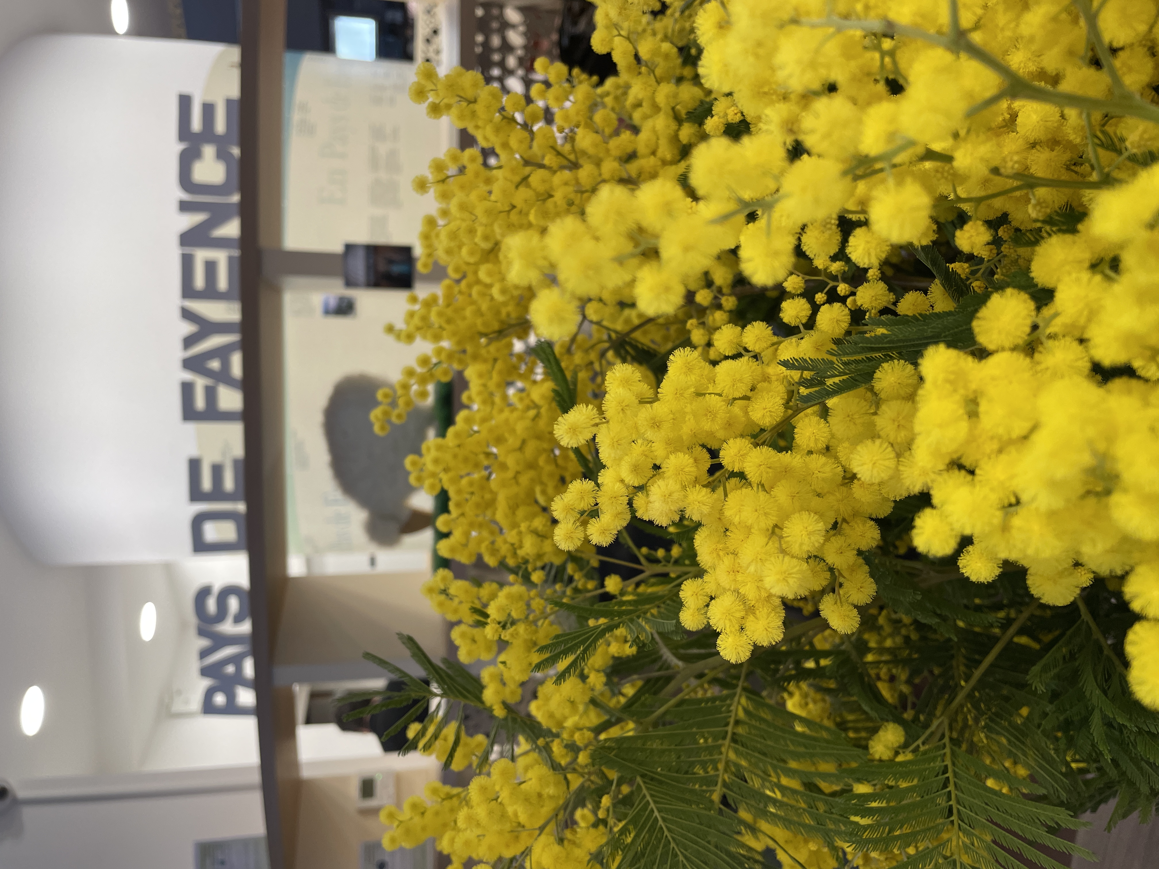 &copy; Var Tourisme (3).jpg (3.78 MB)