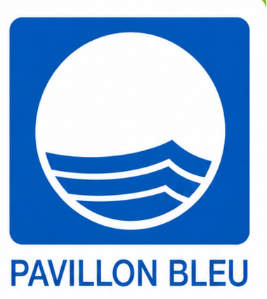 LE SAVEZ-VOUS WEB.png (136 KB)