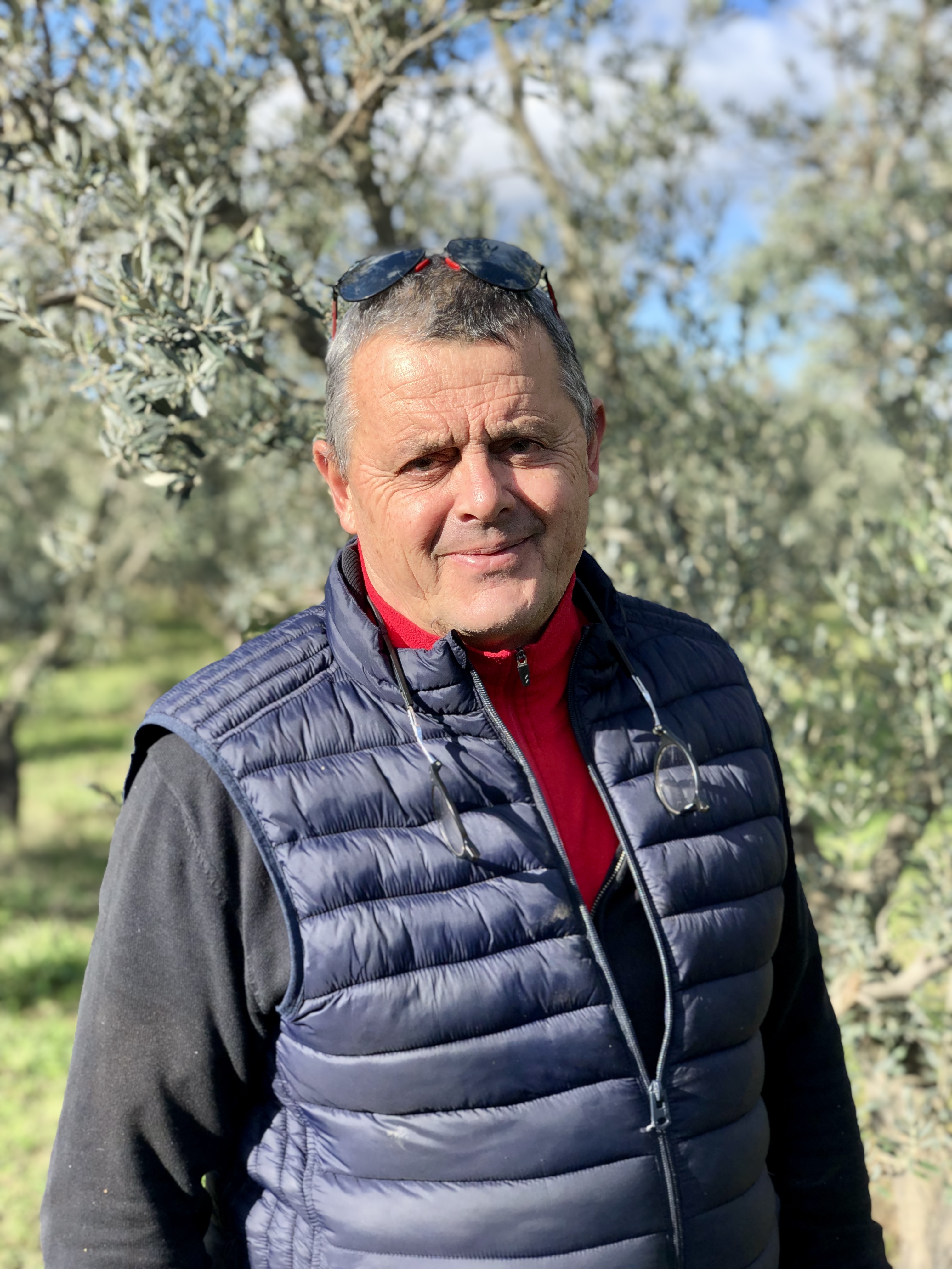 L’huile d’olive au cœur de notre patrimoine et de notre économie - Var ...