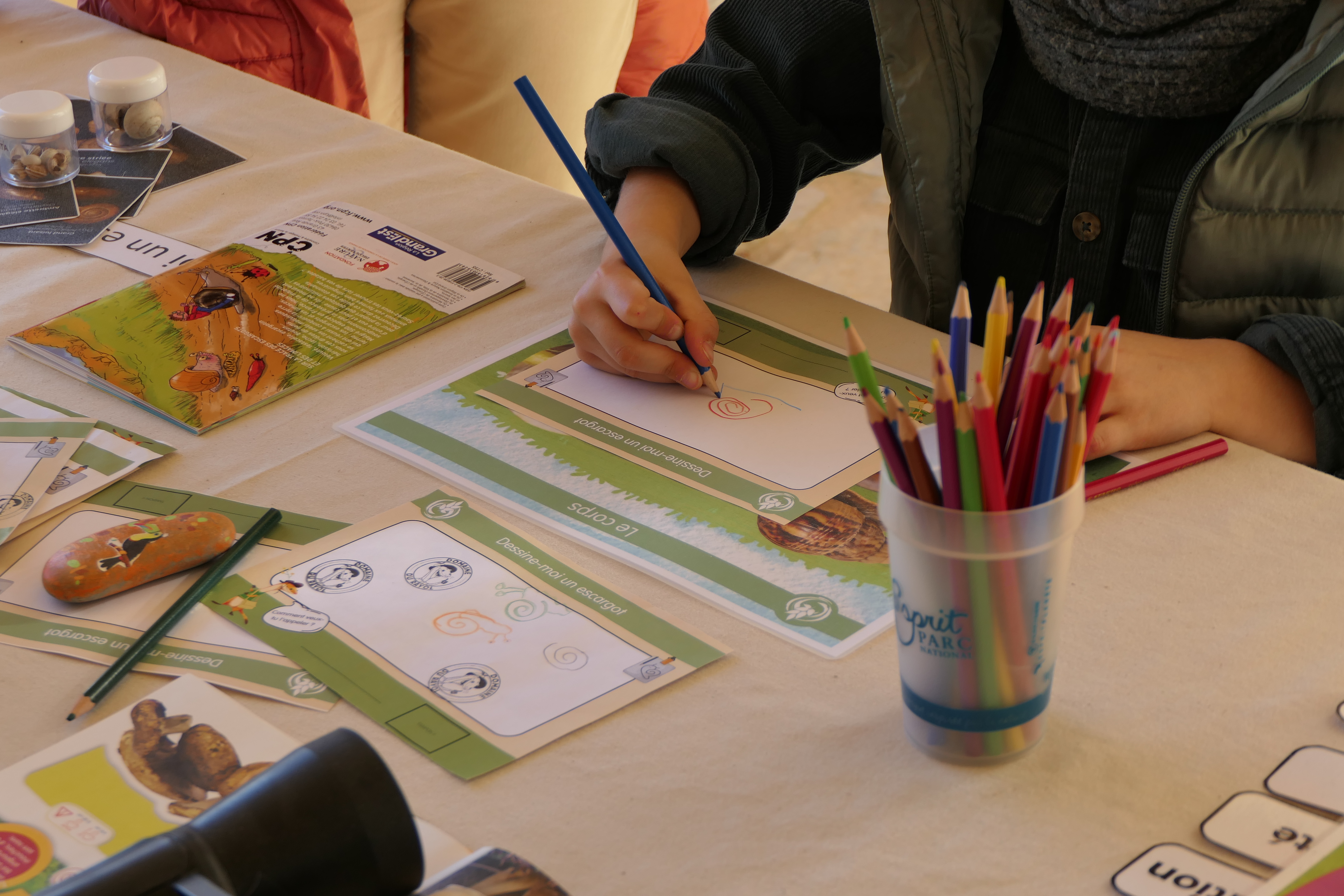 Stand vacances scolaires &copy; Domaine du Rayol, Alice Pierrot (42).JPG (7.63 MB)