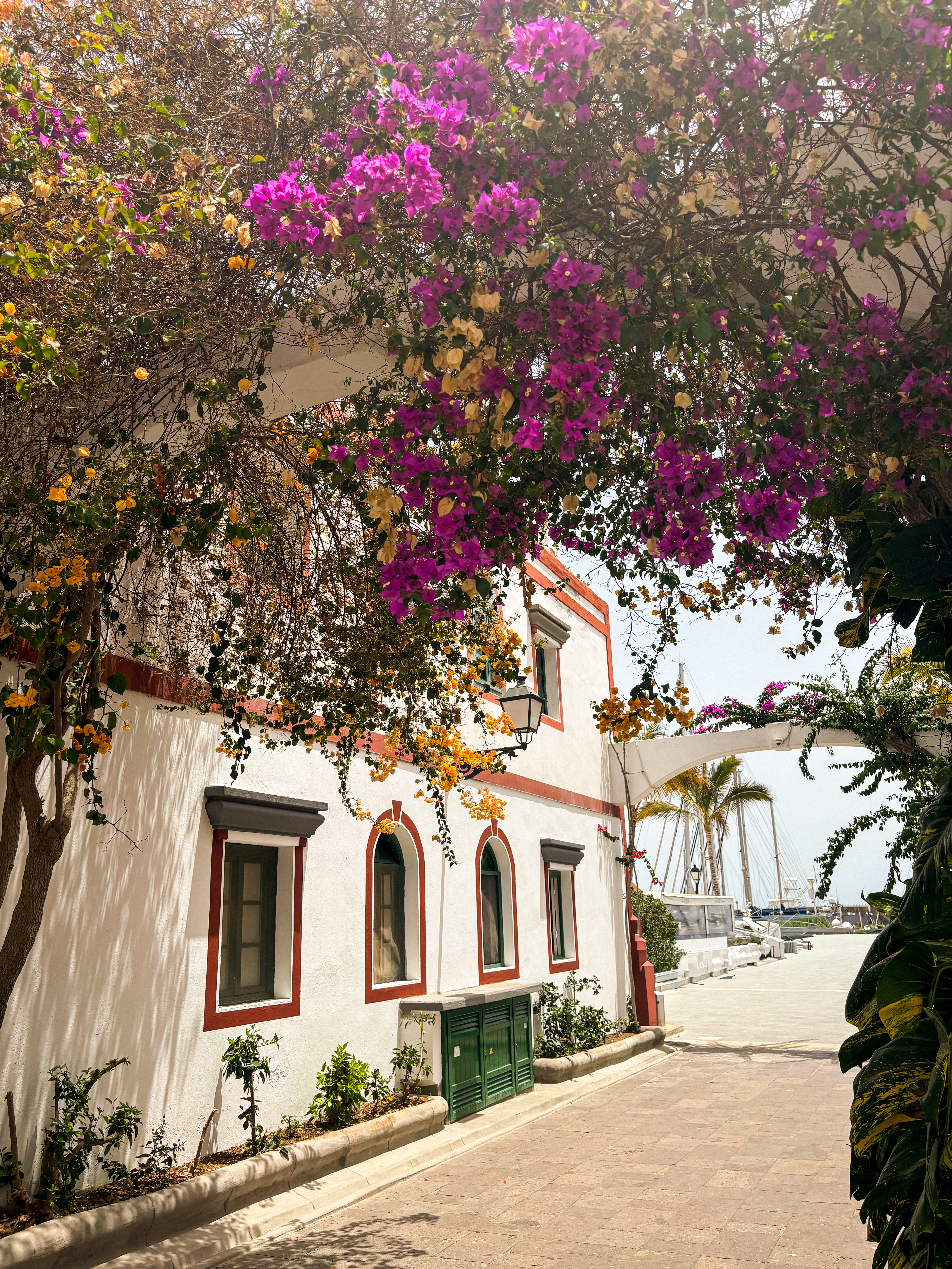 Village de Pueto de Mogan_Gran Canaria.jpg (14.63 MB)
