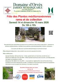 images (14).jpg (11 KB)