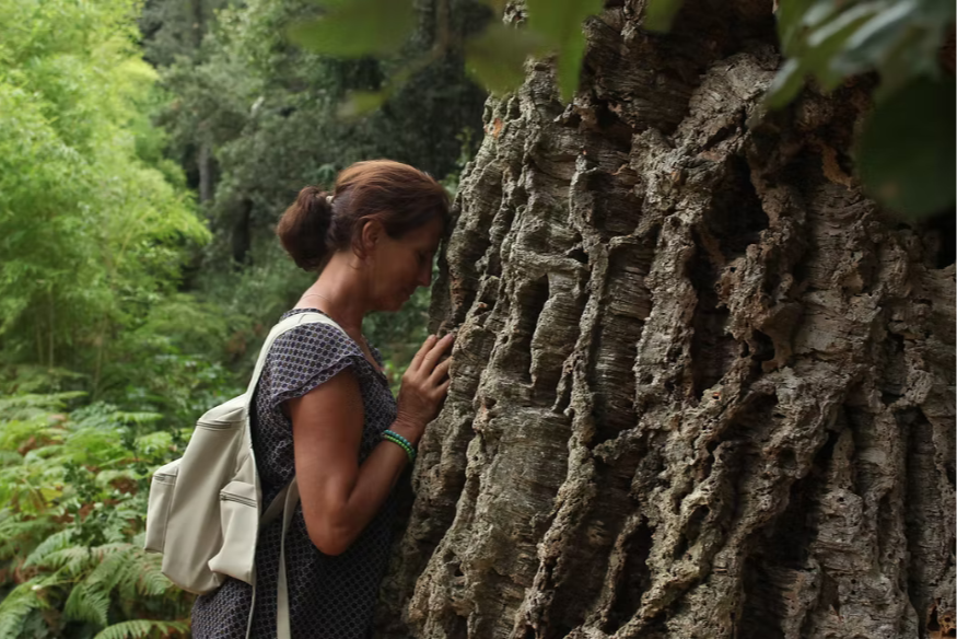 Quand la forêt devient un refuge… et un nouvel art de vivre.