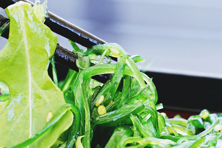 Les algues : trésors marins pour la santé et la vitalité