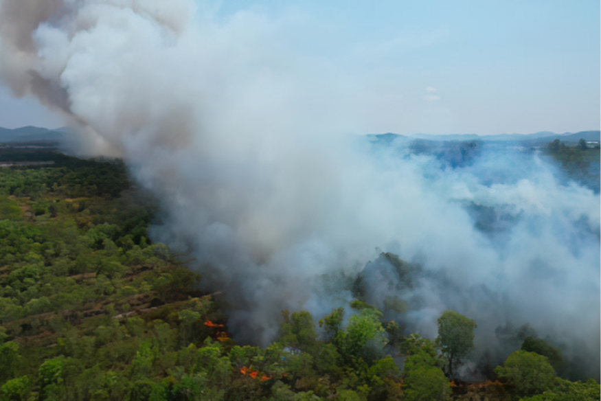 Incendies : la Région Sud réactive ses aides d'urgence