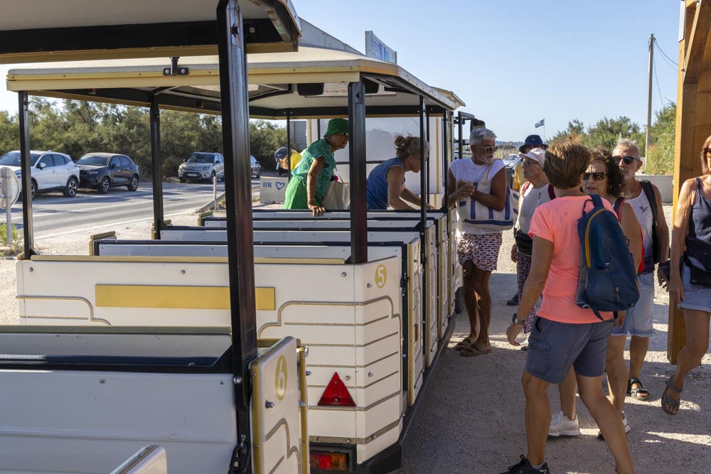 petit_trains_almanarre_OP_23.jpg (149 KB)